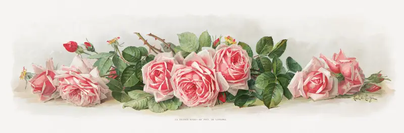 Vintage Flower Illustration by Paul de Longpre